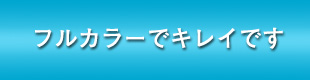フルカラーでキレイです