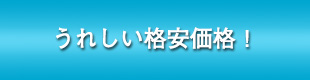 うれしい格安価格！