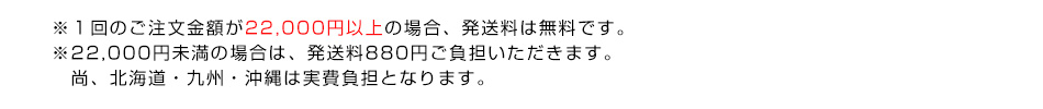 ※１回のご注文金額が22,000円以上の場合、発送料は無料です。※22,000円未満の場合は、発送料880円ご負担いただきます。尚、北海道・九州・沖縄は実費負担となります。